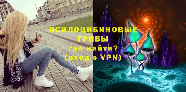 индика Абинск