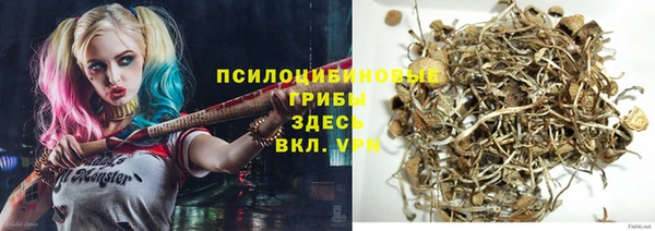 МДПВ Абдулино