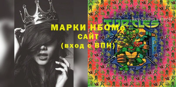 индика Абинск