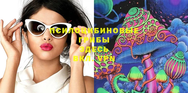 МДПВ Абдулино