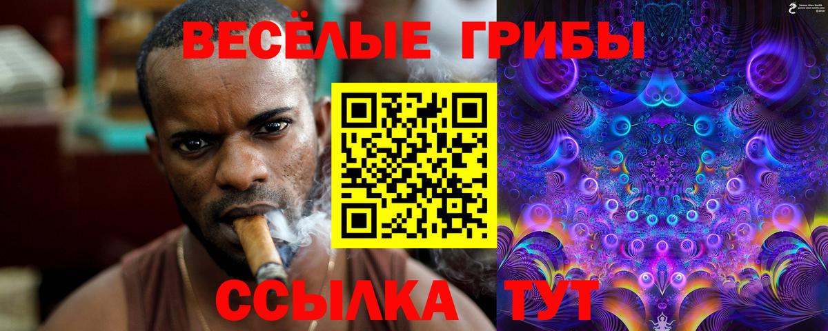 Псилоцибиновые грибы ЛСД  где найти   Серпухов  Вход с VPN 